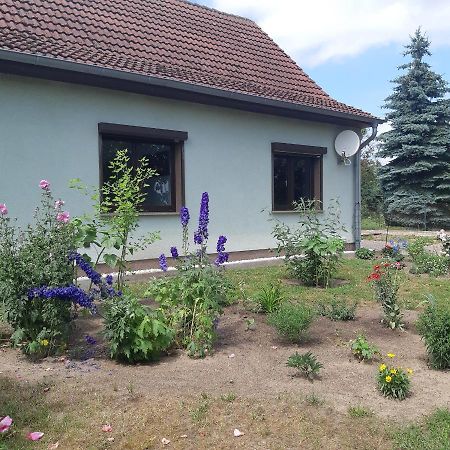 Ferienwohnung Am Scheunenkaffee Kachlin Dargen Exterior photo