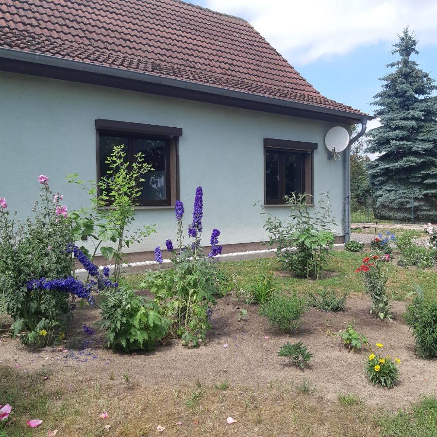 Ferienwohnung Am Scheunenkaffee Kachlin Dargen Exterior photo